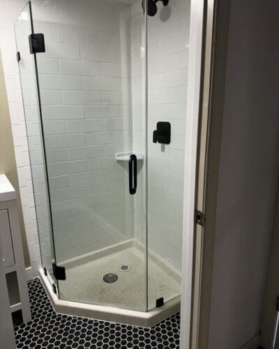 Neo Angle Shower Door